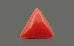 Red Coral - TC 5102 (Origin - Italy) Limited - Quality